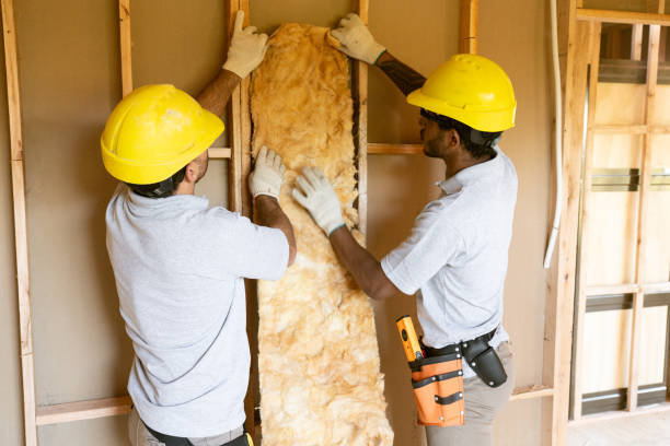 Best Insulation Removal Services  in Lake Arrowhead, ME